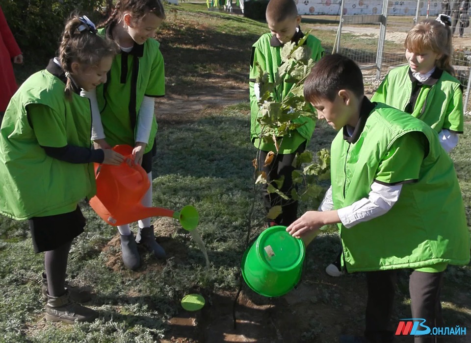 Школьники Волгограда стали лауреатами премий за экологические проекты