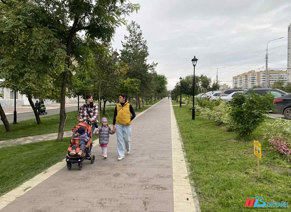 В Волгоградской области 700 семей за год получили выплату на второго ребенка