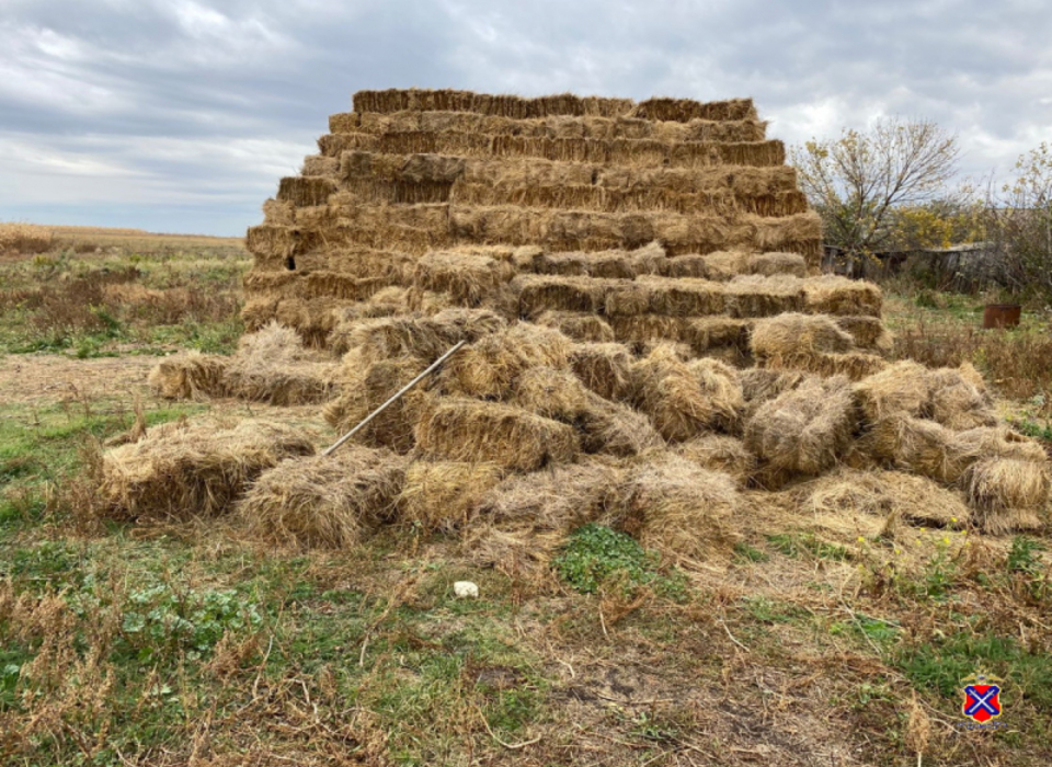 Житель Волгоградской области украл у односельчанина почти 9 тонн сена