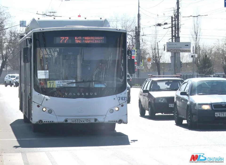 В Волгограде автобусы маршрута №77 полностью заменят на новые