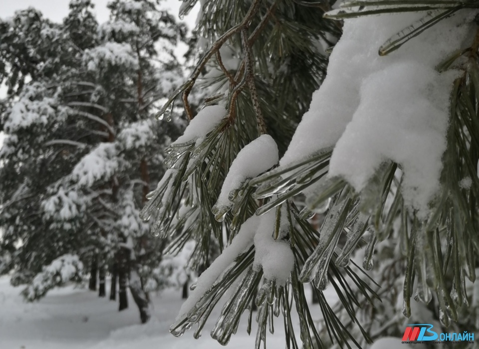 Волгоград и область 14 декабря накроет метель с морозом до -14º