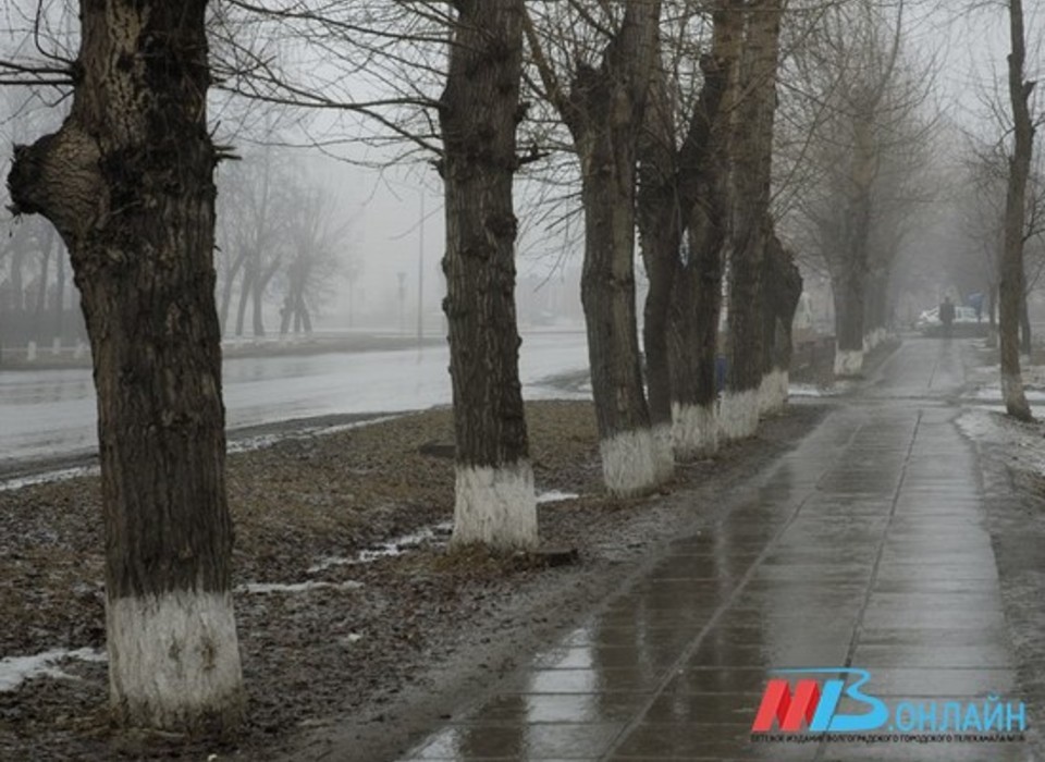 1 февраля в Волгоградской области прогнозируют туман и мокрый снег при +3 градусах