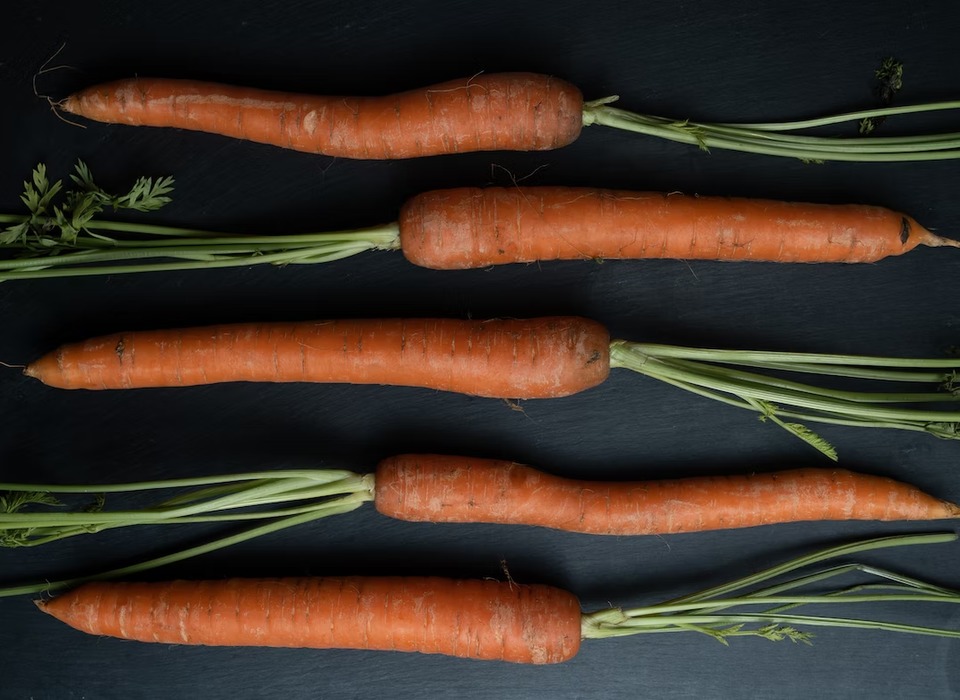 Роспотребнадзор в Волгограде назвал 13 полезных свойств моркови