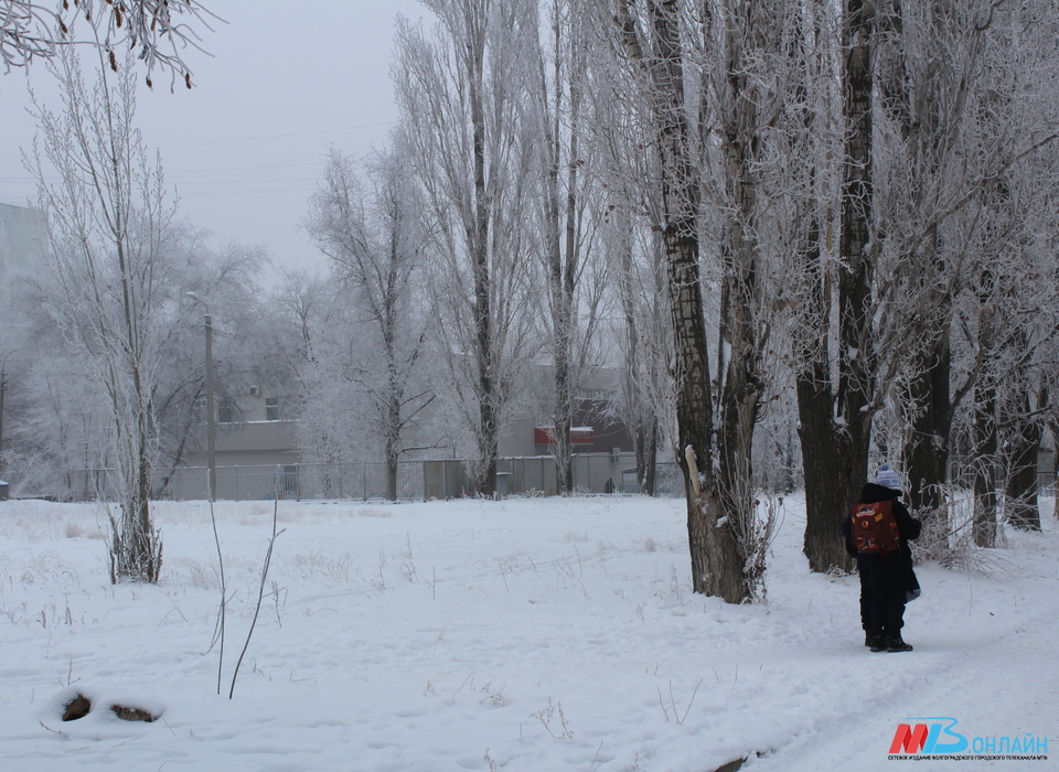 28 февраля Волгоградскую область ожидает снег с дождем при +5 градусов