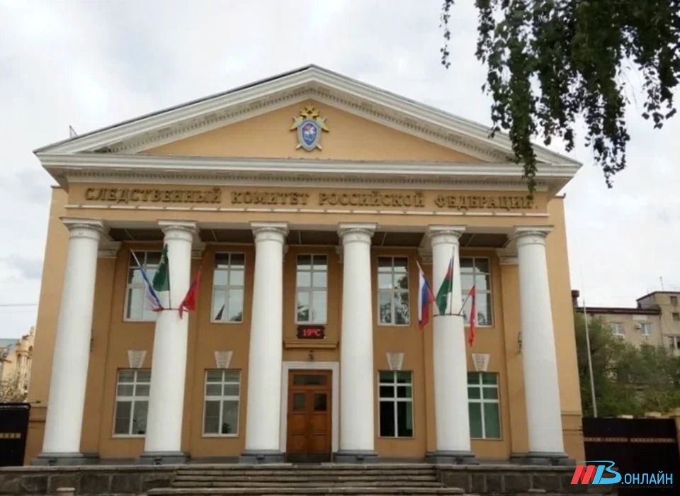 Главе СК доложат о ходе расследования гибели ребенка в Волгоградской области