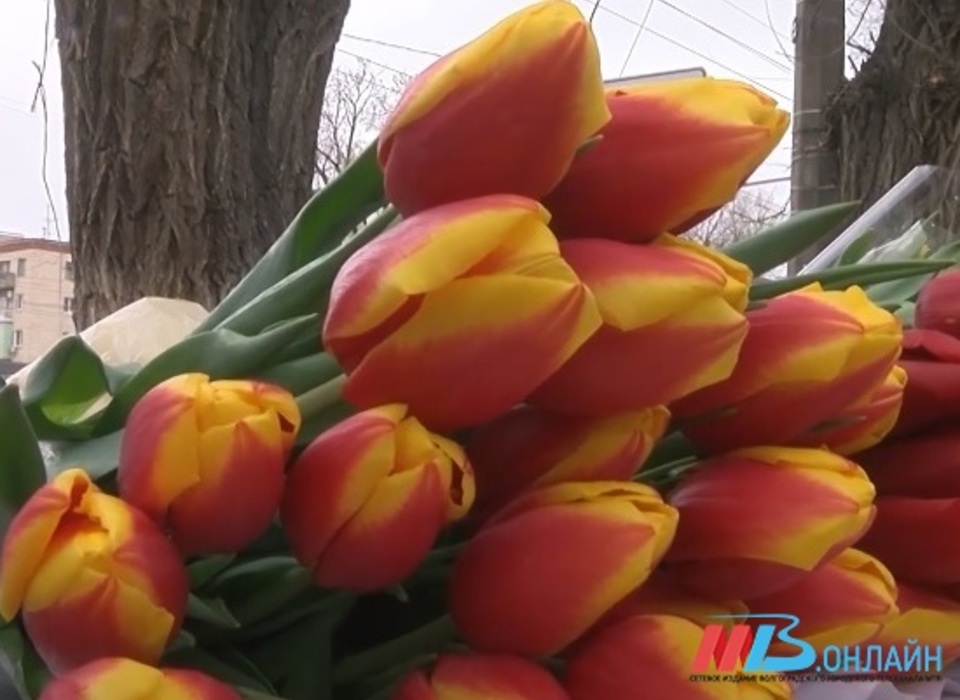 В преддверии 8 Марта в Волгограде открылись более 100 торговых точек с цветами