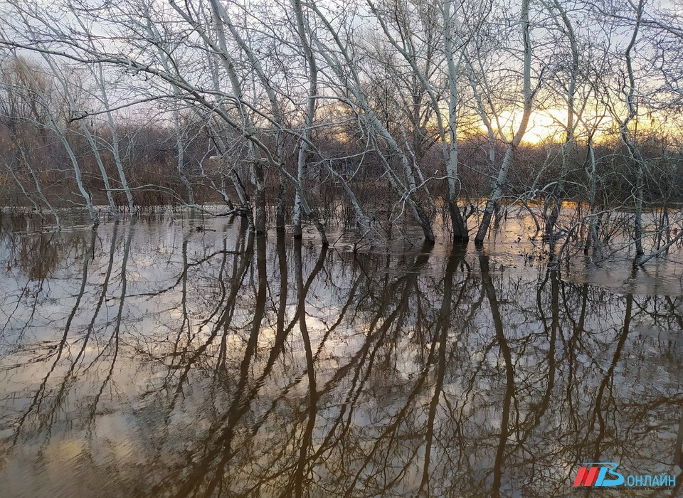 Уровень воды в реках Волгоградской области продолжает подниматься