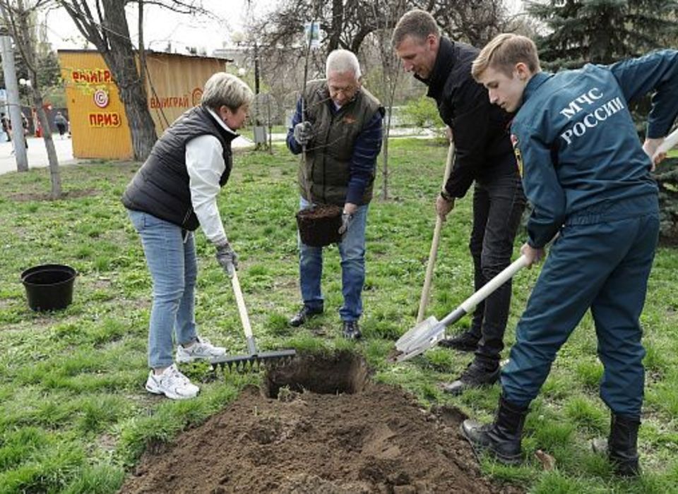 Волгоградские депутаты вышли на субботник в Комсомольский сад