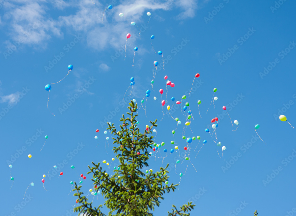 Активистка из Волгограда выступила против запуска воздушных шаров 12 апреля