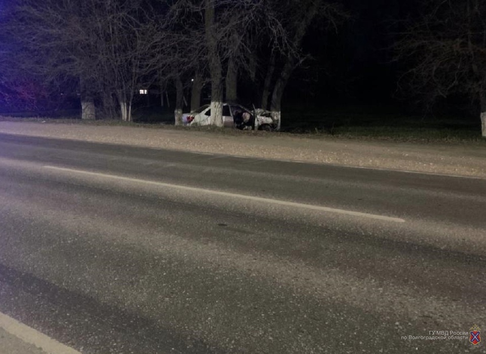 В Волгоградской области 66-летний водитель скончался после наезда на дерево