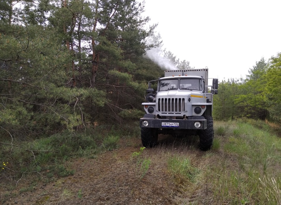 В  лесничествах Волгоградской области приступают к обработке от вредителей