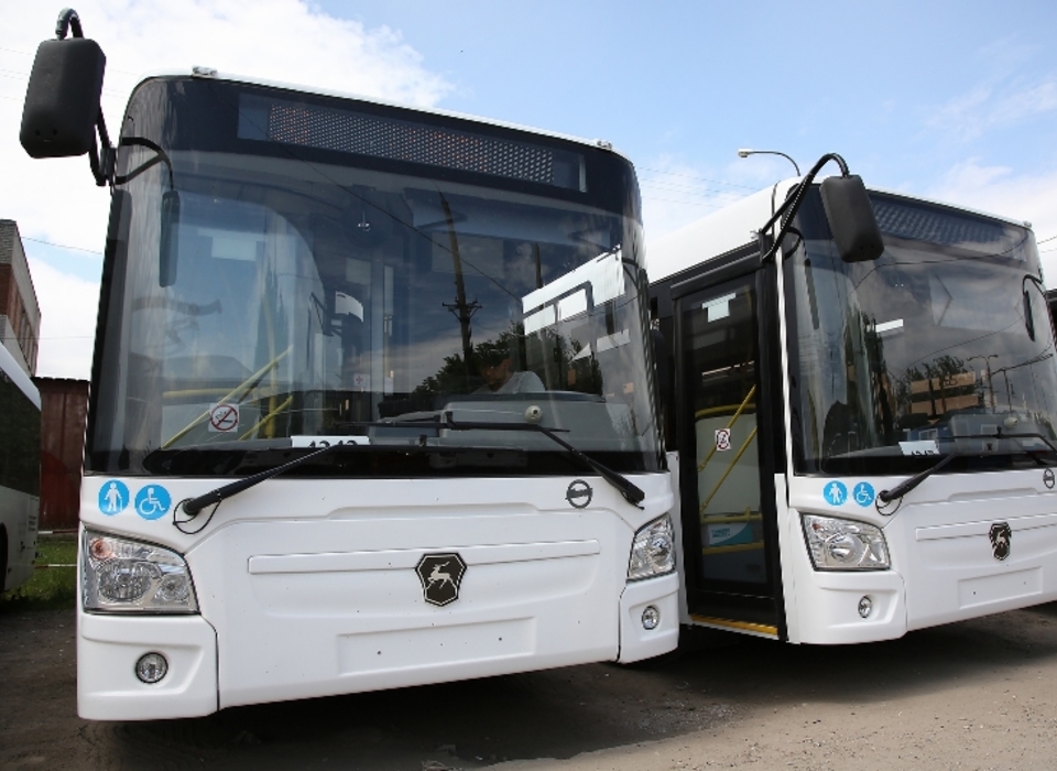 3 июля в Волгограде запустят компенсационный маршрут автобуса № 65к