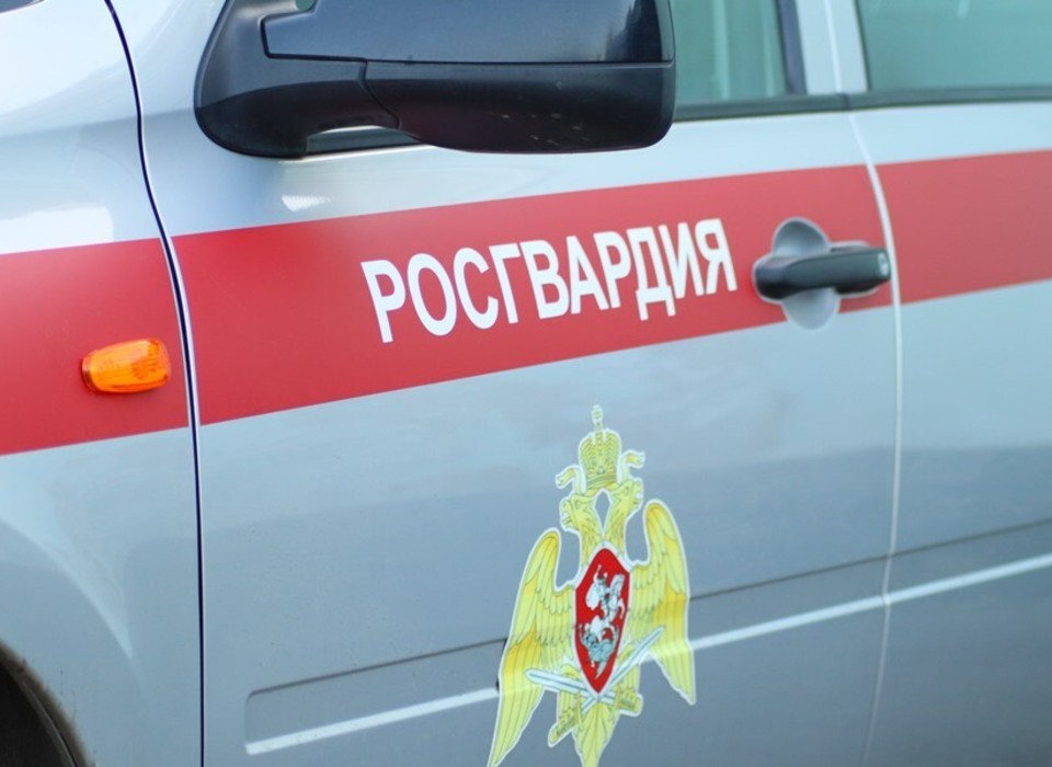 Волгоградские росгвардейцы задержали подозреваемых в хищении имущества