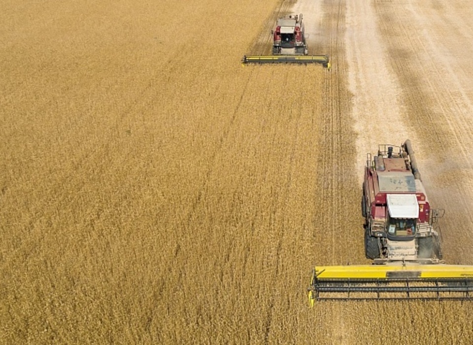 В Волгоградской области аграрии собрали 3 миллиона тонн зерна