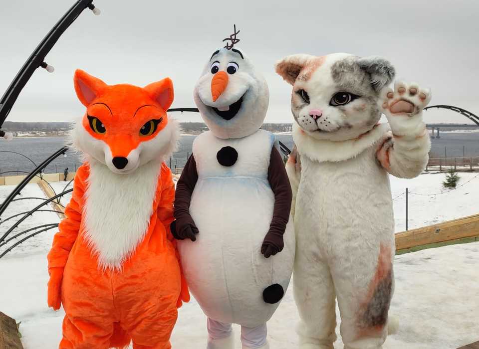 Посетителей ЦПКиО в Волгограде будут развлекать кот, лиса и снеговик