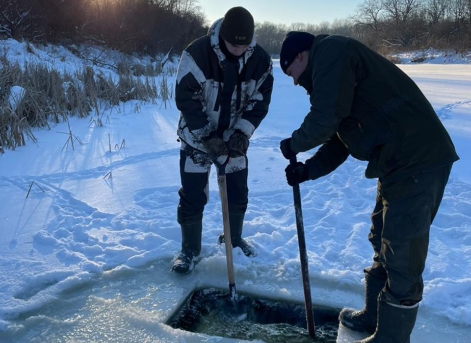 В Волгоградской области спасают рыбу от замора