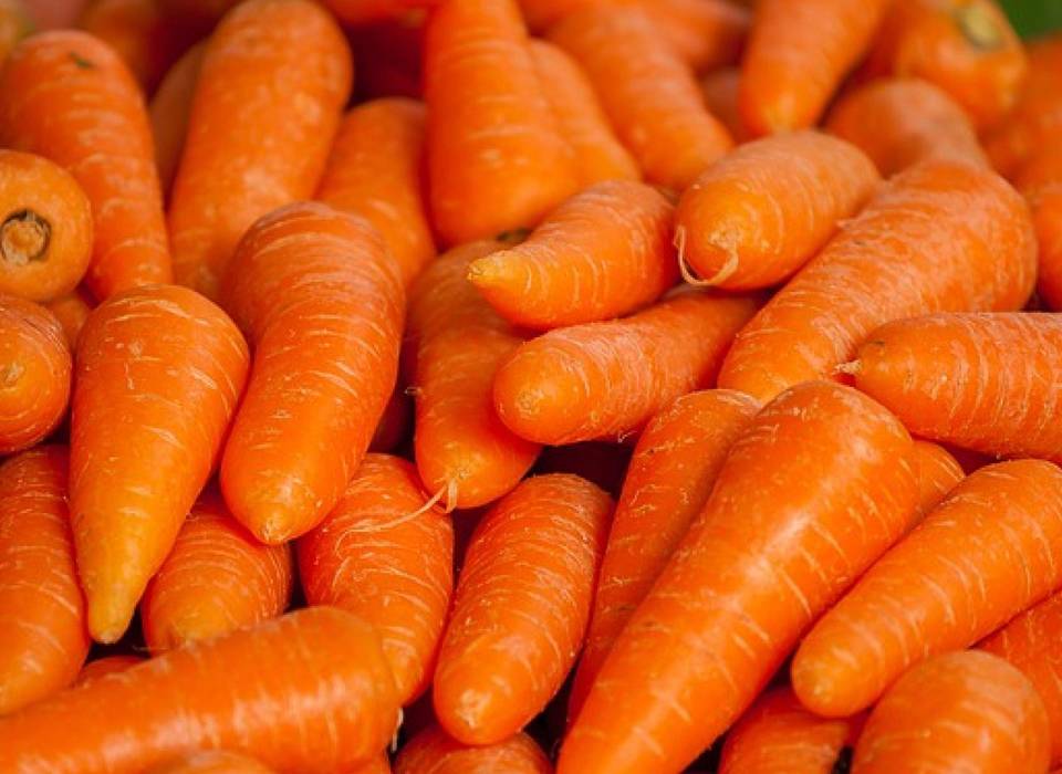 Из Волгоградской области в Казахстан отправили 60 тонн моркови