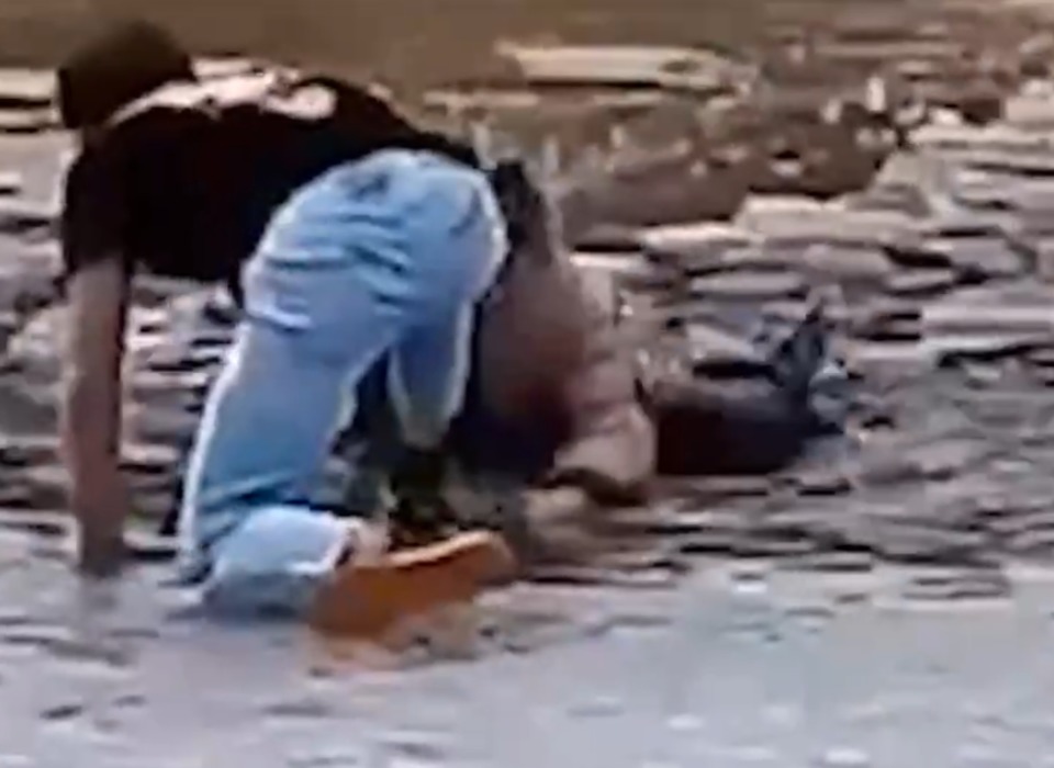 Момент спасения девочки-подростка из пруда в Волгограде попал на видео