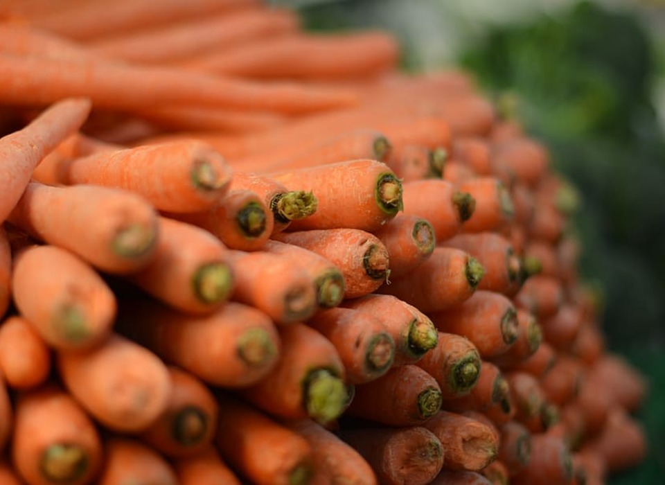 100 тонн моркови Волгоградская область отправила в соседнюю страну
