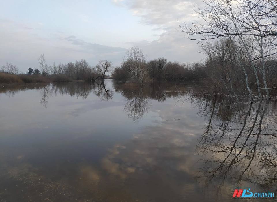 Тело женщины нашли на берегу реки под Волгоградом