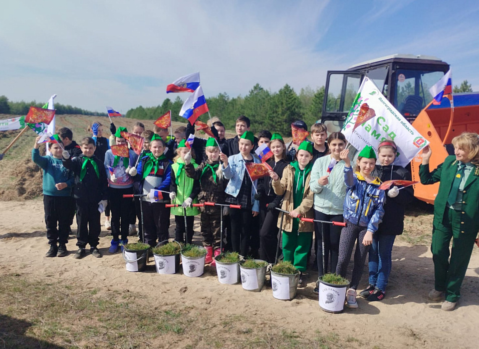 120 тысяч деревьев высадили в Волгоградской области в рамках акции «Сад Памяти»