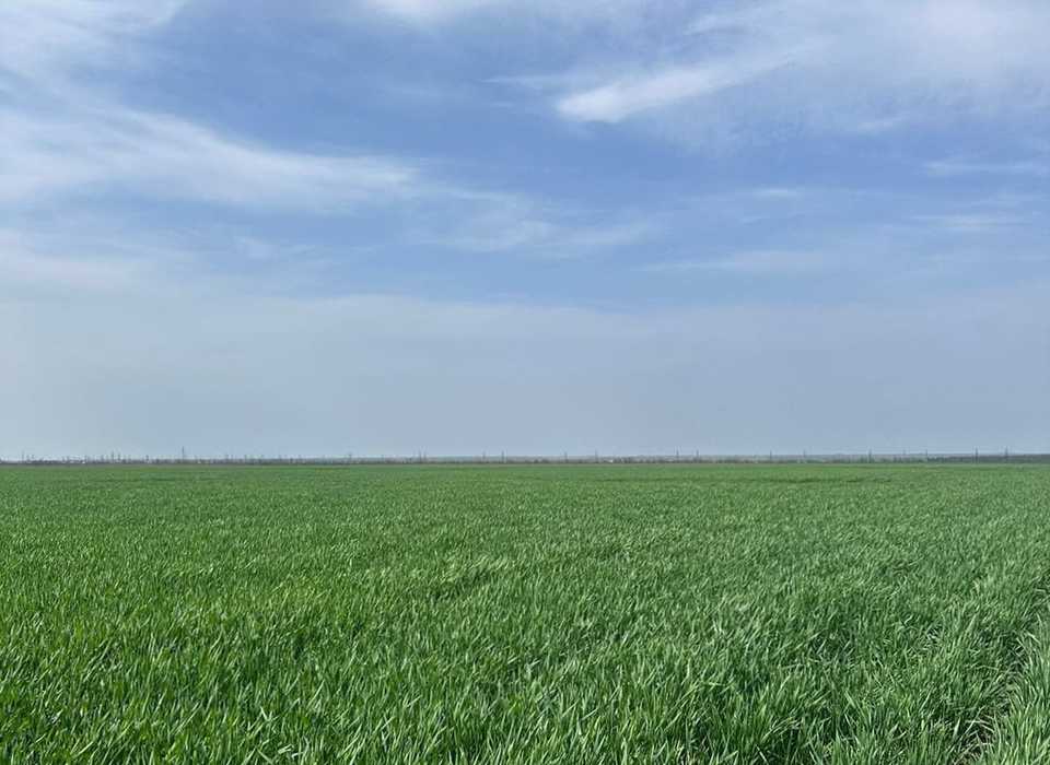 Волгоградские аграрии удобряют почву к активному периоду сева