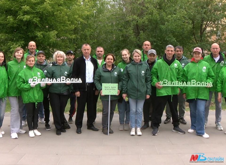 Волонтеры акции «Зеленая волна» высадили более 250 растений на севере Волгограда
