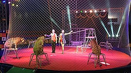 МТВ показало цирковое шоу детям со всей России • «Под куполом семьи – под защитой страны», выпуск от 9 июля 2020