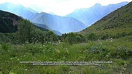 Команда МТВ отправилась покорять Республику Северная Осетия-Алания • ДОМ ДРУЖБЫ, выпуск от 25 октября 2020