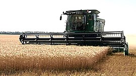Как волгоградским аграриям удалось собрать 5 миллионов тонн зерна • Актуальное интервью, выпуск от 27 октября 2020