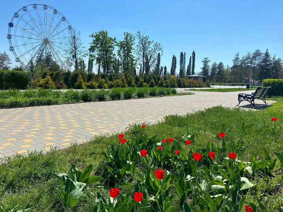 Парк в волгограде фото