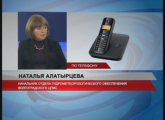 Волгоградский гидрометцентр. Гидрометцентр Волгоград. Росгидромет Волгоград. Наталья Алатырцева Волгоград. Волгоград Гидрометцентр Алаторцева.