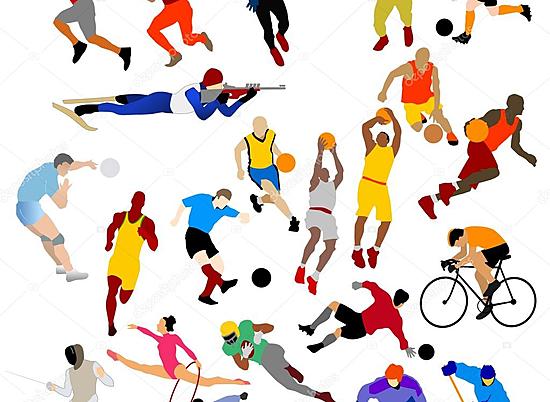 Комитет физкультуры и спорта Волгоградской области определил десятку лучших спортсменов и тренеров