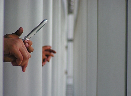 Прокуратура Волгоградской области выявила Интернет-ресурс с инструкциями по доставке мобильных телефонов в места лишения свободы