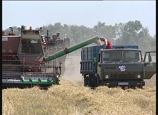Владимир Путин поблагодарил работников АПК за рекордный урожай