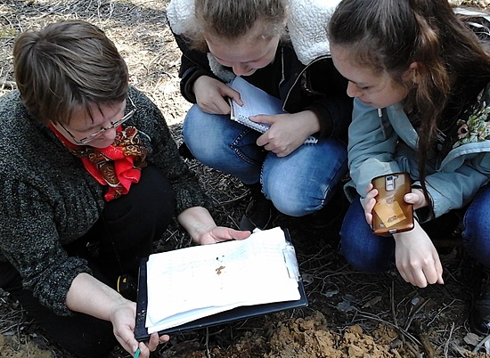 В Калаче-на-Дону школьное лесничество приняло участие в контрольных учетах пилильщика-ткача