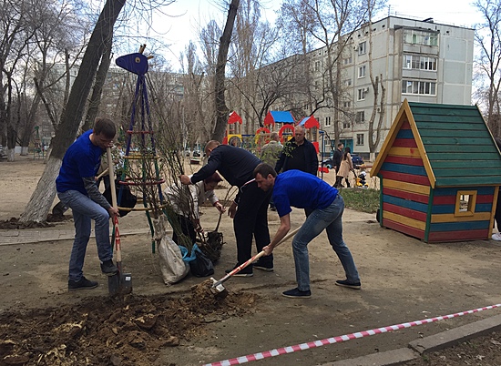 В Дзержинском районе Волгограда наводить порядок жителям помогали депутаты