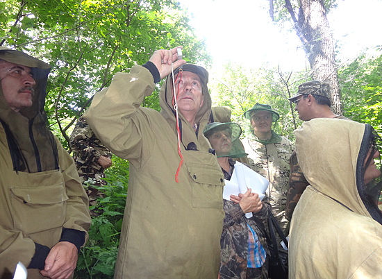 Волгоградские лесопатологи обсудят приемы борьбы с вредителями