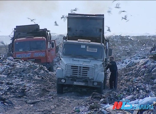 Владимир Путин решать проблему утилизации мусора в России предложил по японскому пути