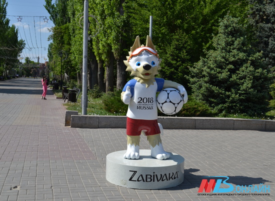 В Волгограде 18 июня можно будет сыграть в футбол с Волком Забивакой