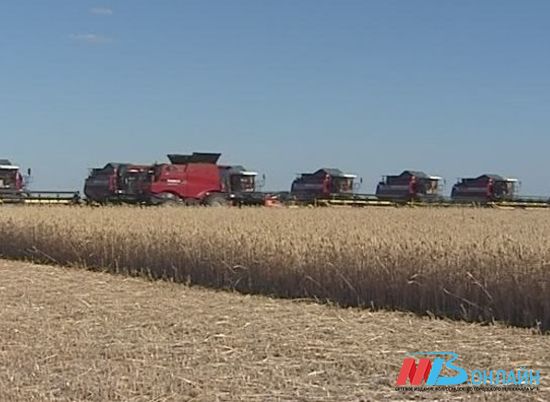 Волгоградские аграрии с начала года приобрели более 500 единиц сельхозтехники