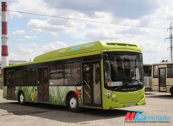 В Волгограде изменилась схема движения двух автобусных маршрутов