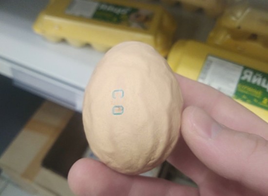 В Волгограде обнаружили «яйцо динозавра»