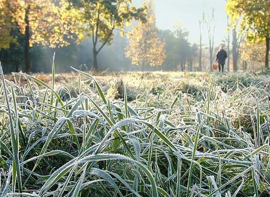 На Волгоградскую область надвигаются очередные заморозки
