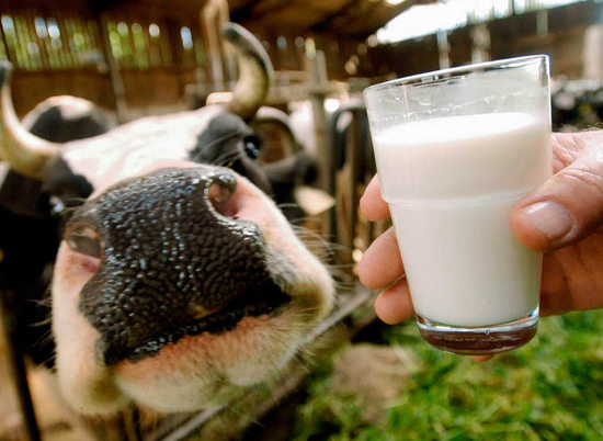 Волгоградская область обеспечит жителей молоком на 100%