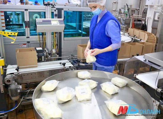 В Камышине запущено безотходное производство молочной продукции