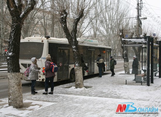 Раздевшийся в автобусе волгоградец получил 1 год исправительных работ