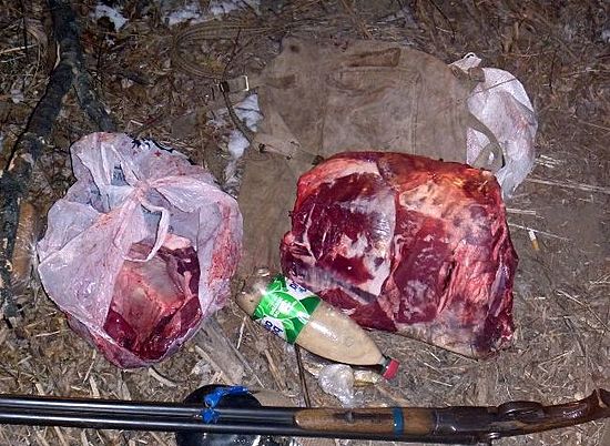 Волгоградскому браконьеру грозит штраф в 200 тысяч рублей за убитую косулю