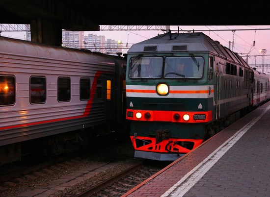 Бесхозные животные на два часа задержали поезд Астрахань — Волгоград