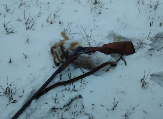 32-летнему браконьеру из Николаевского района грозит полгода ареста